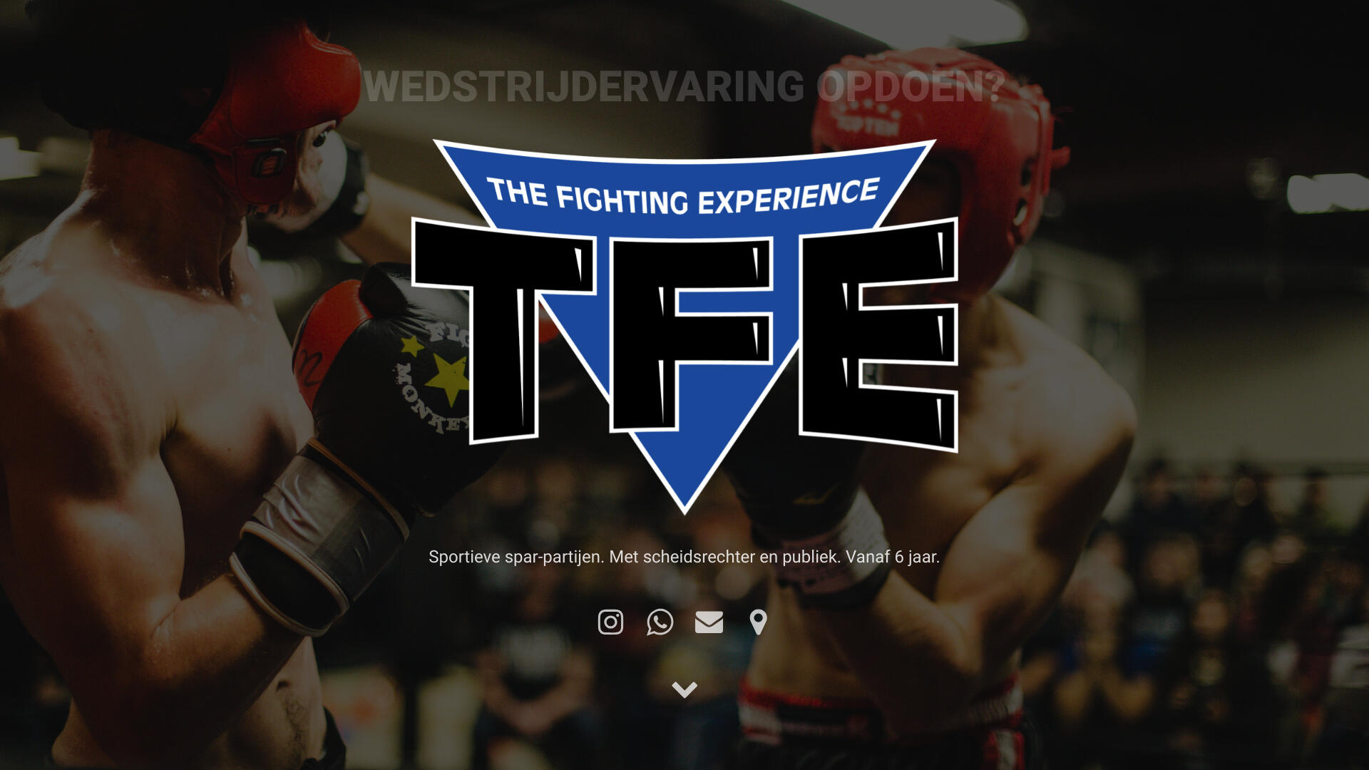 The Fighting Experience Homepage van de nieuwe freestyle website The Fighting Experience