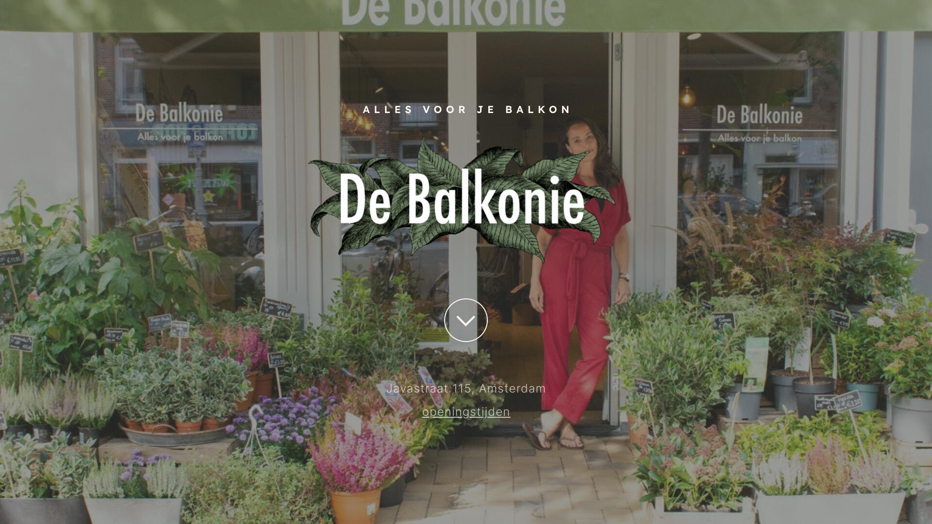 De Balkonie Homepage van de nieuwe freestyle website De Balkonie